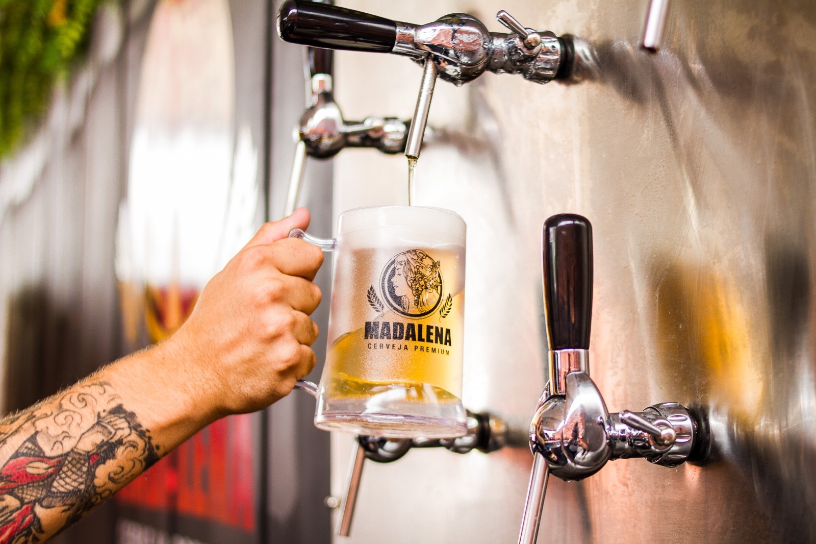 Chopes artesanais na MaiFest: cervejarias como Madalena, Schornstein e Ashby.