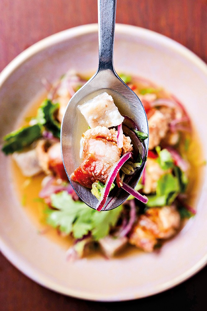 Ceviche porcaria