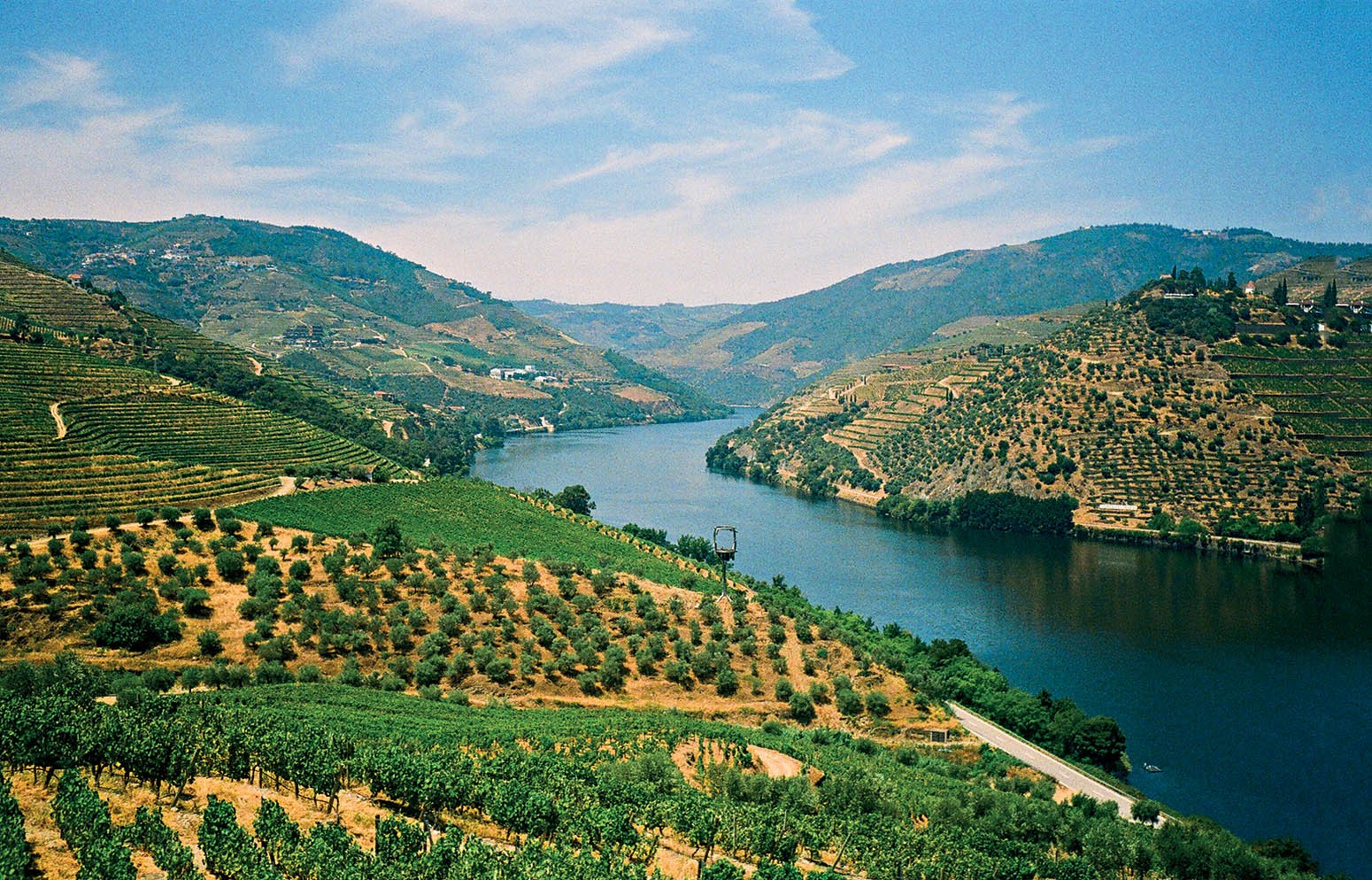Vale do Douro com um rio azul serpenteando entre montanhas verdes, cobertas por vinhedos em socalcos e árvores esparsas sob um céu claro com nuvens brancas