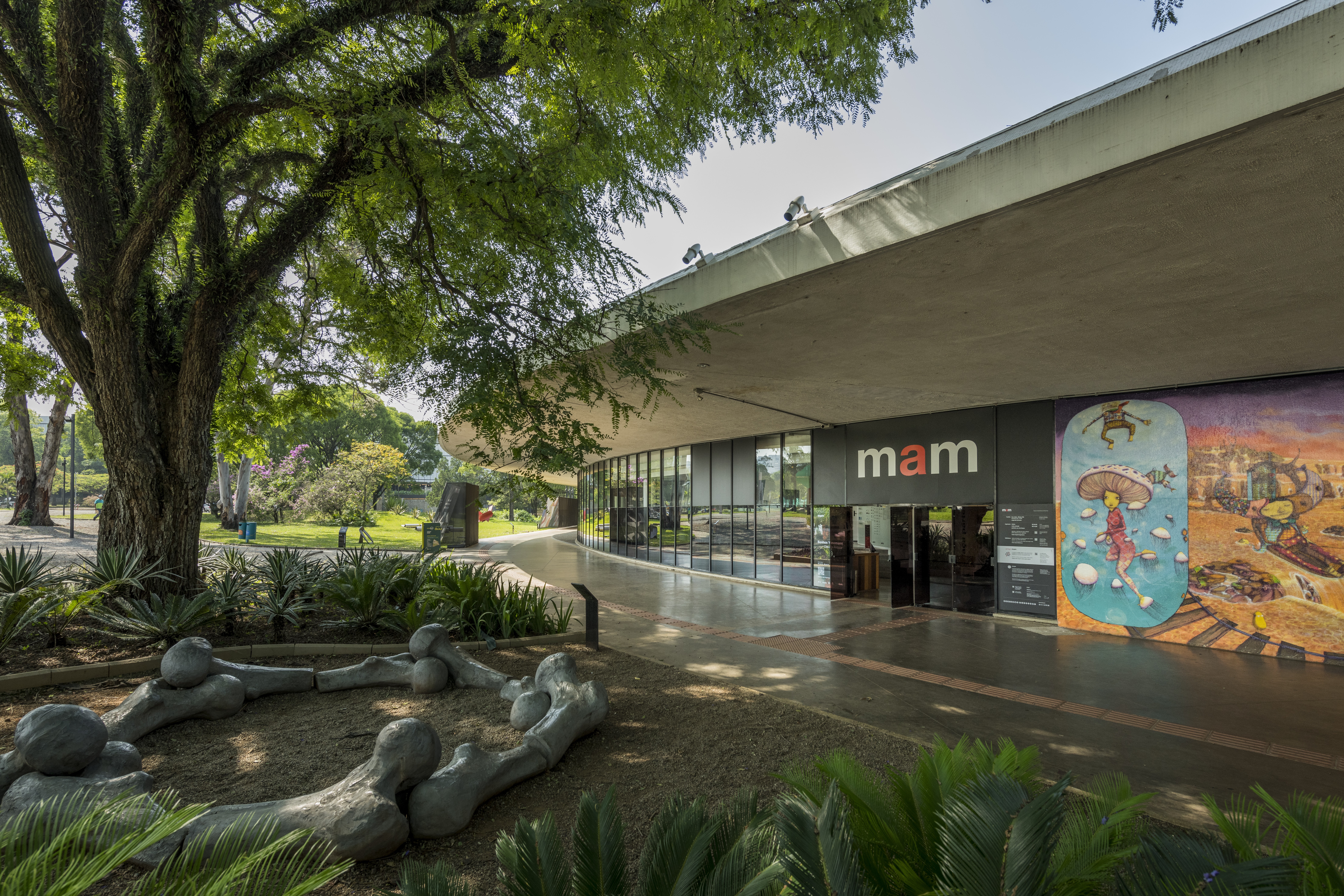 Museu de Arte Moderna reabre neste sábado (12); veja como visitar gratuitamente